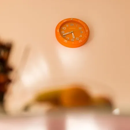 Διαμέρισμα Magi Ζαντάρ