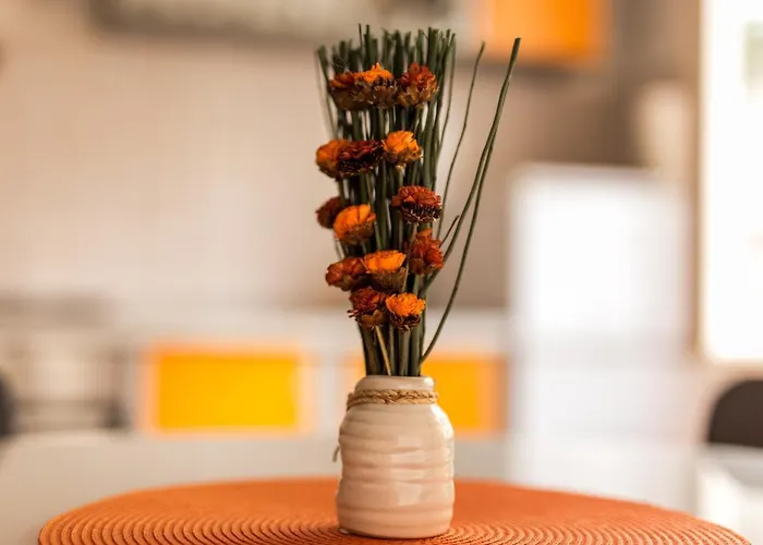 Διαμέρισμα Magi Ζαντάρ